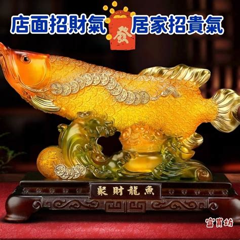 招財魚|養對魚數：財運滾滾來